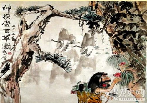 《神龙尝百草》讲了中国古代传说中什么的故事？