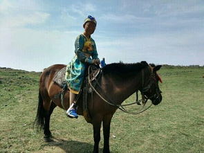 内蒙古张北的草原篝火晚会的作文和图片