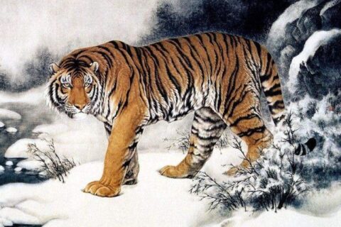 老兵用陷阱抓住了老虎，喝醉了就把它扔了。